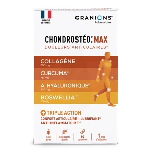 Chondrosteo Max Triple Action Cpr B/60