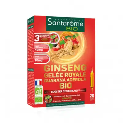 Santarome Bio Ginseng Gelée Royale Guarana Acérola Solution Buvable 20 Ampoules/10ml à GRENOBLE