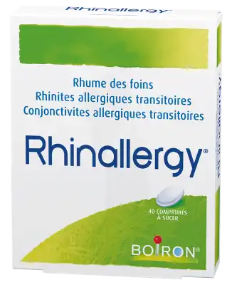 Boiron Rhinallergy Comprimés à Sucer Plq/40 à ANNEMASSE