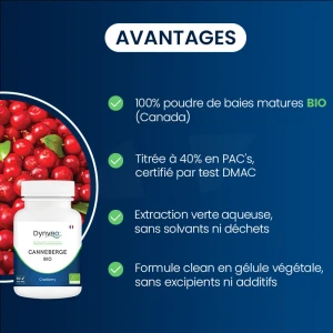 Dynveo Canneberge Bio (cranberry) 10% Pacs 400mg 60 Gélules