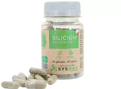 Sysnat Silicium Bio B/60 à CAHORS