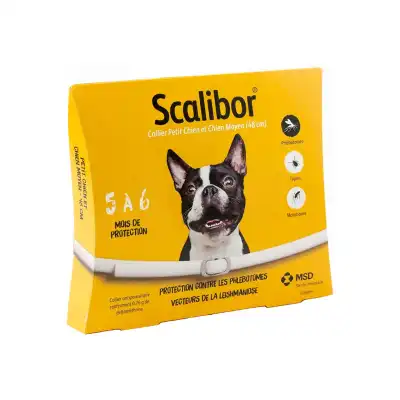 Scalibor Pack Petit Moy.Chien Collier 6*1