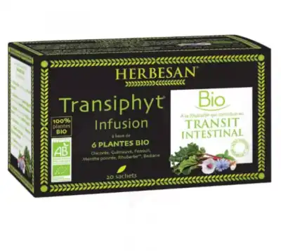 Herbesan Transiphyt Tis Infusion Bio 20sach à COLLONGES-SOUS-SALEVE