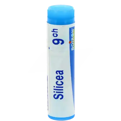 Boiron Silicea 9ch Globules Dose De 1g à VIC-LE-COMTE