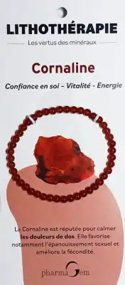 Bracelet De Lithothérapie En Cornaline 4 Mm à Arles