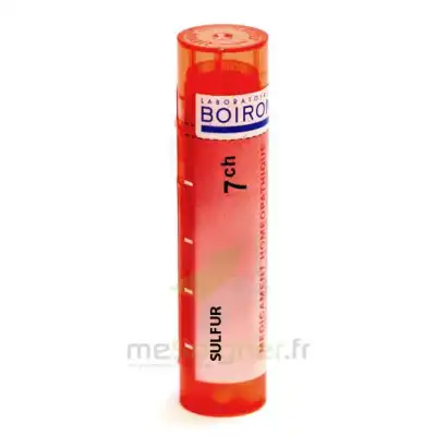 Boiron Sulfur 7ch Granules Tube De 4g à LA TREMBLADE