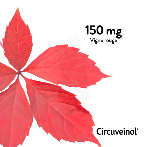 Nutreov Circuveinol Circulation Veineuse Comprimés 2b/30