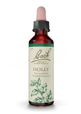 Fleurs de Bach® Original Holly - 20 ml