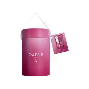 Caudalie Thé Des Vignes Duo Parfumé à Beauzelle