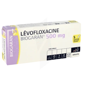 Levofloxacine Biogaran 500 Mg, Comprimé Pelliculé Sécable