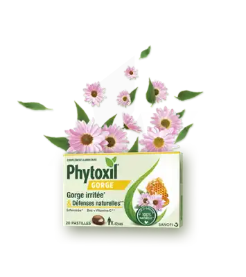 Phytoxil Gorge & Défenses Naturelles Pastilles B/20 à BRETEUIL