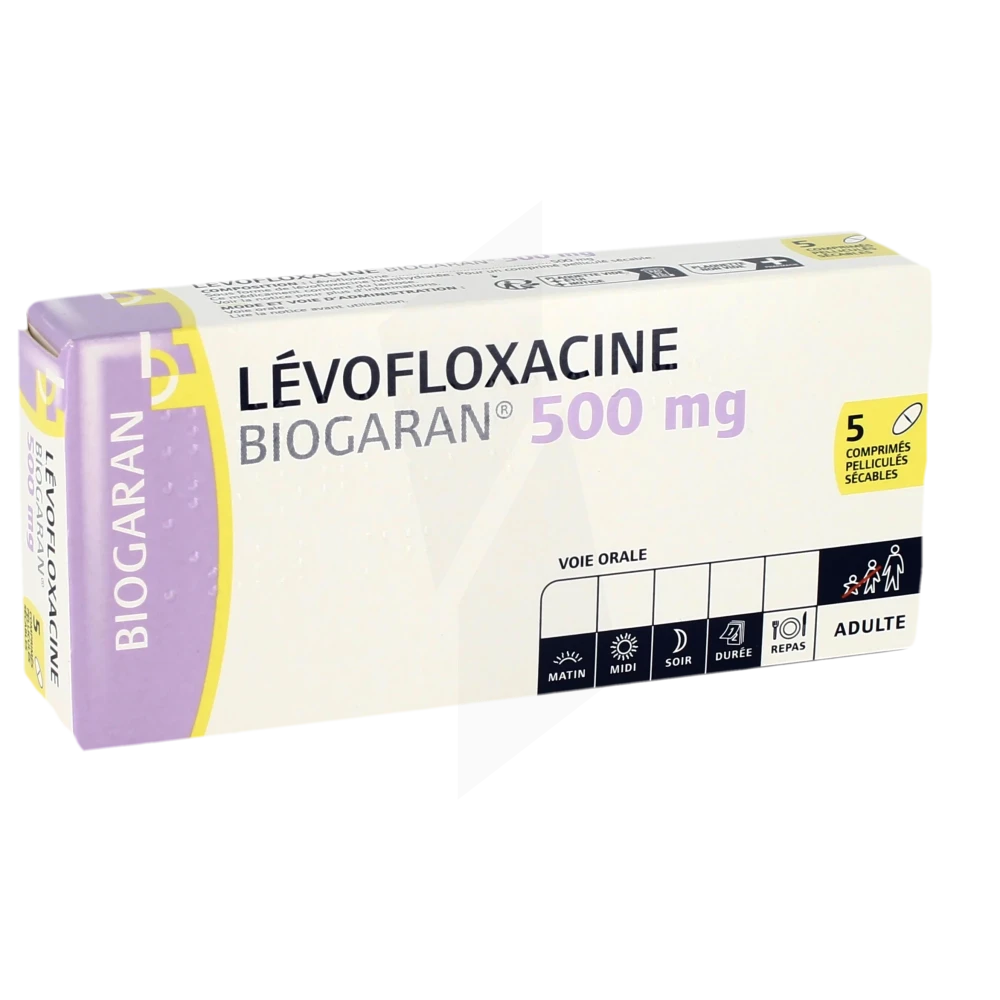 Levofloxacine Biogaran 500 Mg, Comprimé Pelliculé Sécable