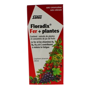Floradix Fer+plantes Boisson Vigueur énergie 250ml