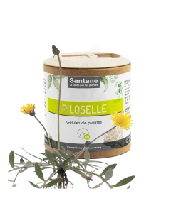 Santane Piloselle Gélules De Poudre De Plantes 110mg B/60