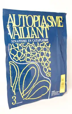 Autoplasme Vaillant, Bt 3 à Paris