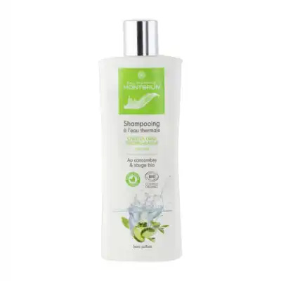 Acheter Montbrun Shampooing Cheveux gras Bio 250ml à DIJON
