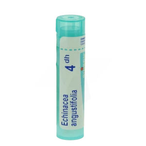 Boiron Echinacea Angustifolia 4dh Granules Tube De 4g