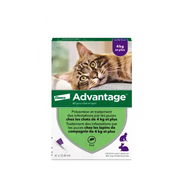 Advantage 80 Pour Chat Et Lapin, Solution Pour Spot-on