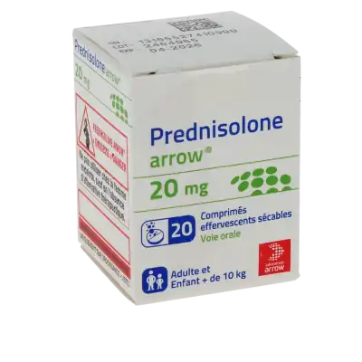PREDNISOLONE ARROW 20 mg, comprimé effervescent sécable