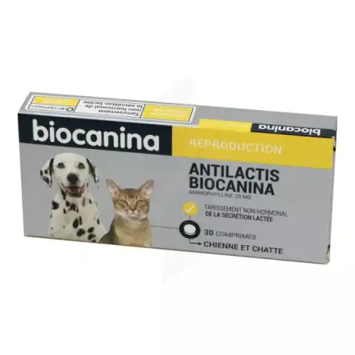 Antilactis Biocanina 20 Mg Comprimes Pellicules Pour Chiens Et Chats, Comprimé Pelliculé