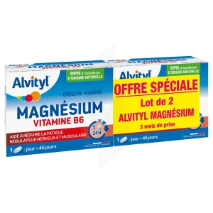 Alvityl Magnésium Vitamine B6 Libération Prolongée Comprimés Lp 2b/45