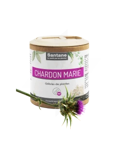 Santane Chardon Marie Gélules De Poudre De Plantes 400mg B/60