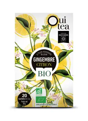Dayang Oui Tea Gingembre Citron Bio 20 Infusettes à Bordeaux