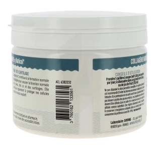 Dayang Collagène Marin Pdr Pot/150g