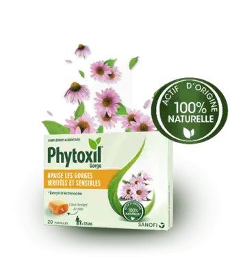 Phytoxil Pastilles Gorge Pastilles Adulte Enfant +12 Ans B/20 à Bordeaux