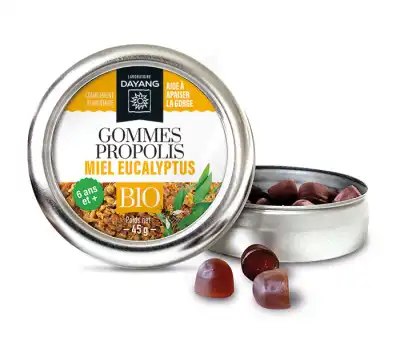 Dayang Propolis Bio Gommes B/45g à Mérignac