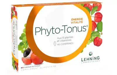 Lehning Phyto-tonus Comprimés B/40 à RUMILLY