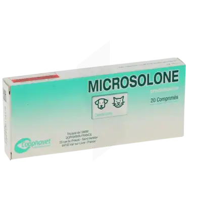 Microsolone Boîte de 1 Plaquette Thermoformée de 20 Comprimés