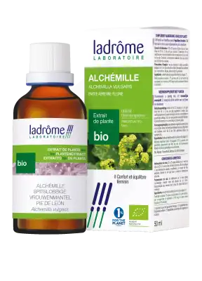 Ladrôme Extrait De Plante Alchemille Partie Aérienne Fleurie 50ml à Saint-Etienne