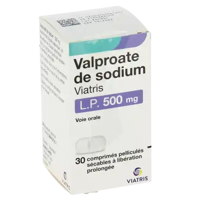 Valproate De Sodium Viatris L.p. 500 Mg, Comprimé Pelliculé Sécable à Libération Prolongée à  JOUÉ-LÈS-TOURS