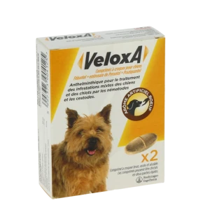 Veloxa Comprimes A Croquer Pour Chiens, Comprimé à Croquer