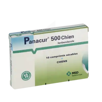 Panacur 500 Cpr Chien B/10 à Saint-Vallier