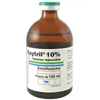 Baytril 10% Solution Injectable Fl/50ml à NICE