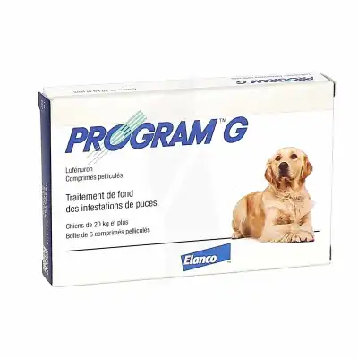 Program G Comprimés anti-puces chien B/6