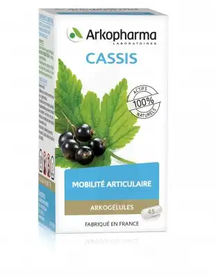 Arkogélules Cassis Gélules Fl/45 à Auterive