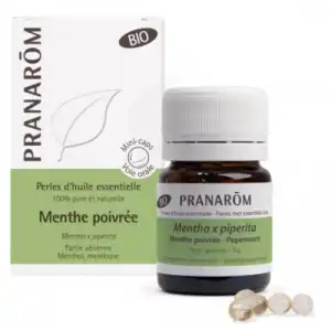 Pranarom Perle Menthe Poivrée Bio 100 Mg B/60 à Saint-Priest