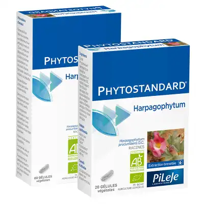 Pileje Phytostandard - Harpagophytum 20 Gélules Végétales à LA COTE-SAINT-ANDRÉ