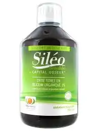 SILEO SOLUTION BUVABLE, fl 500 ml