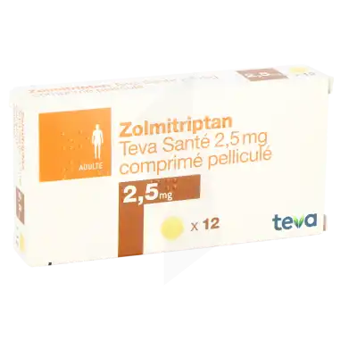 Zolmitriptan Biogaran 2,5 Mg, Comprimé Orodispersible à LIEUSAINT