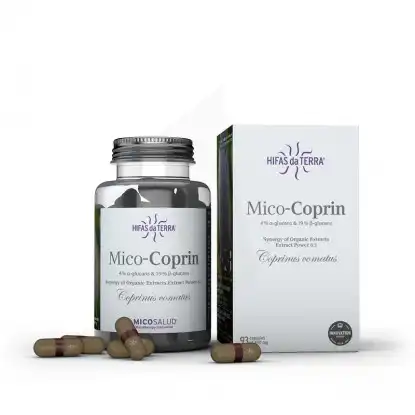 Hifas Da Terra Mico-coprin Gélules B/93