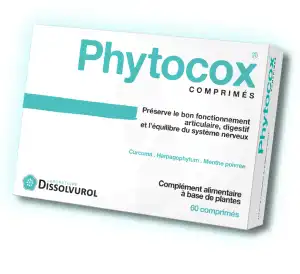 Dissolvurol Phytocox Comprimés B/60 à CERNAY
