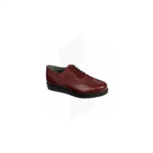 Scholl Virginia Chaussure Memory Cushion Bordeaux P39