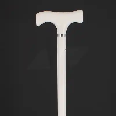 Fayet Ref50 Canne Blanche Hêtre à Chelles