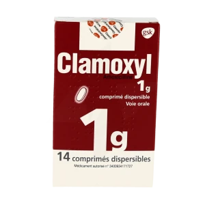 Clamoxyl 1 G, Comprimé Dispersible