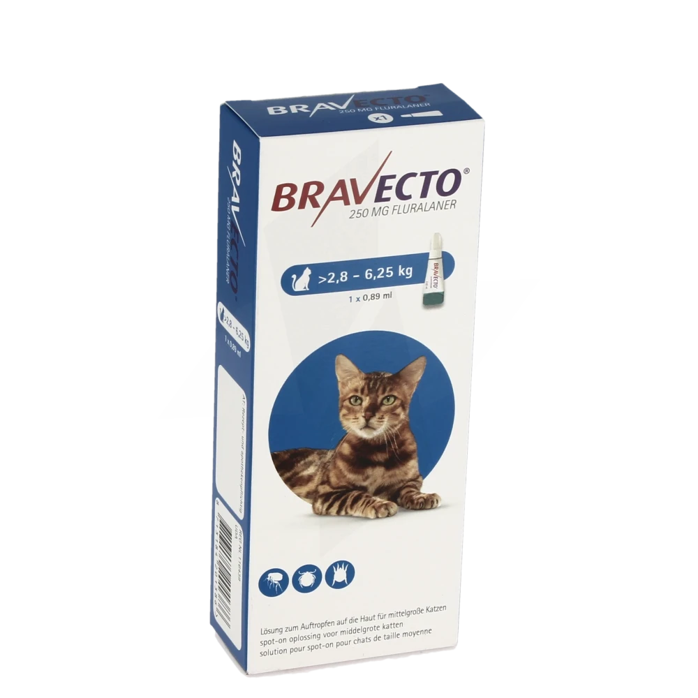 Bravecto Plus 250 Mg/12,5mg Solution Pour Spot-on Chat 2,8-6,25kg B/1