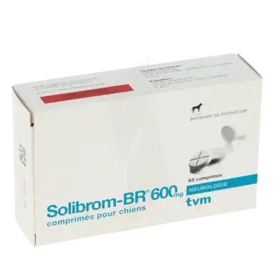 SOLIBROM-BR 600 MG COMPRIMES POUR CHIENS, Comprimé
